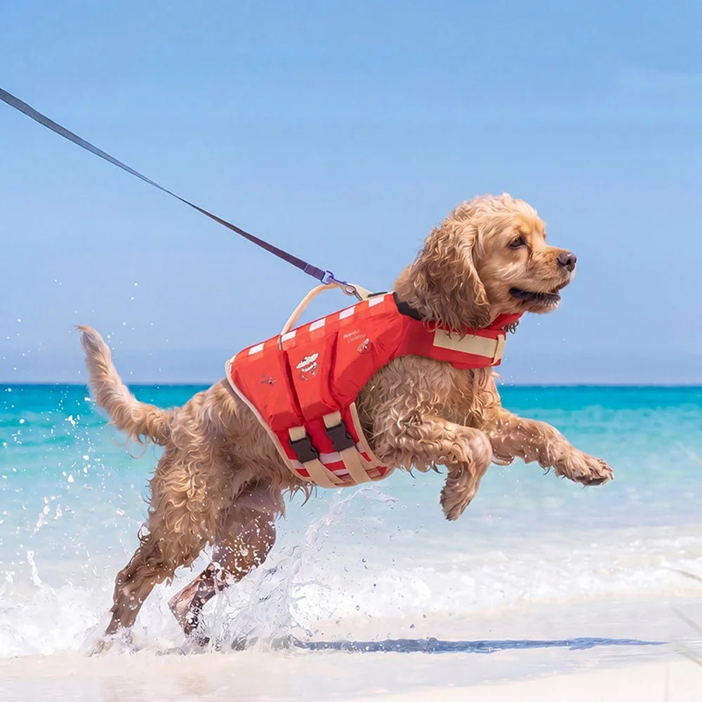 PawFloat™ Pet Safety Vest 🌊🐾 – Head Support & Rescue Ready