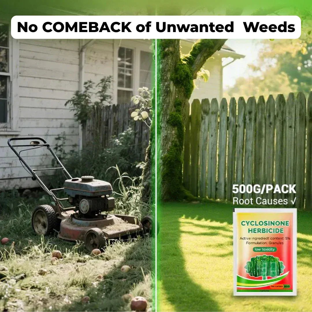 Cyclosinone Weed Killer Granules - Buy 1 Get 1 Free