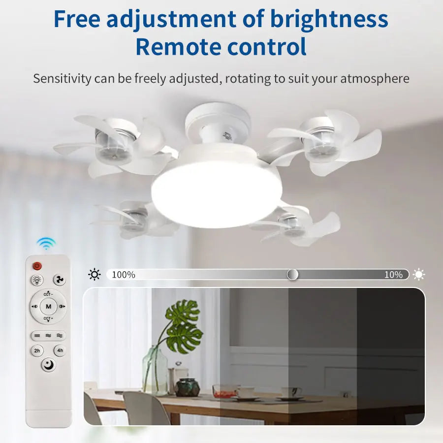 Socket Ceiling Fan Light