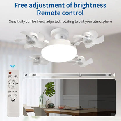 Socket Ceiling Fan Light