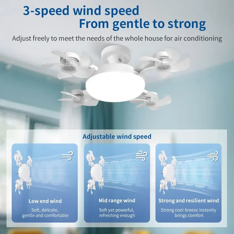 Socket Ceiling Fan Light