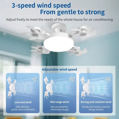 Socket Ceiling Fan Light