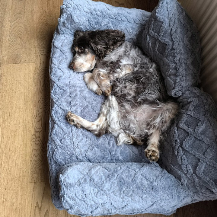 PawRelax™ Plush Bed 🐾 — Soft, Secure & Anxiety-Reducing