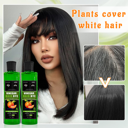 Fruit Vinegar Gel Based Hair Color -Pack of 2