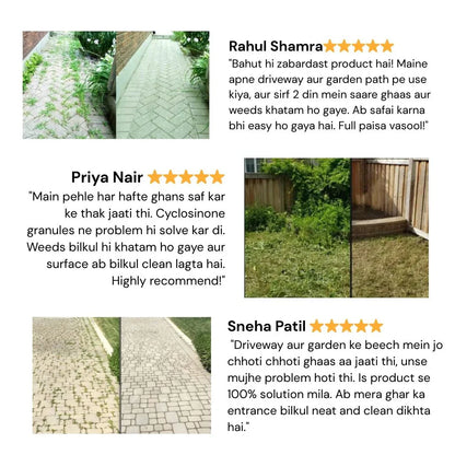 Cyclosinone Weed Killer Granules - Buy 1 Get 1 Free